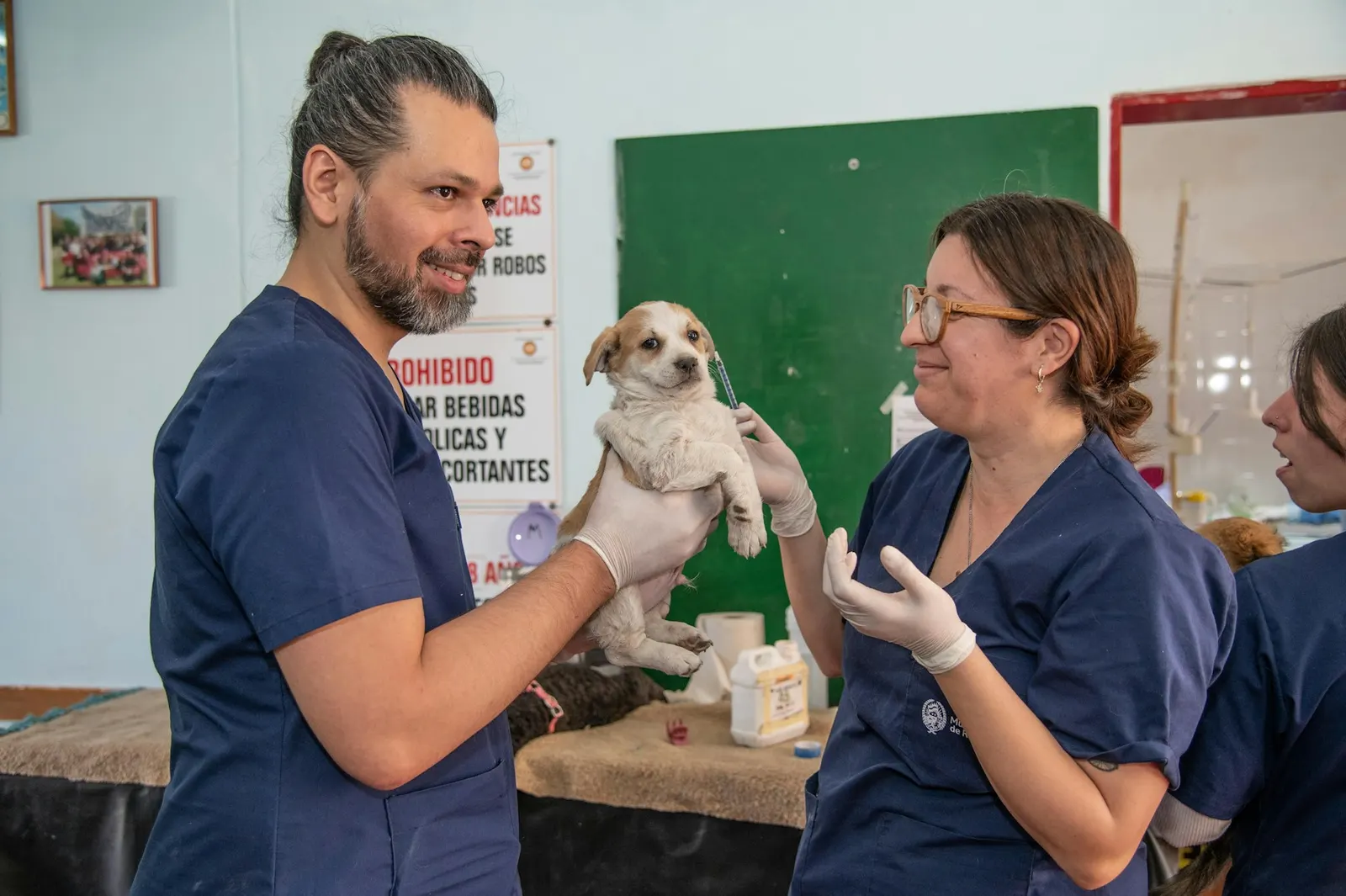 Bir odada küçük bir köpeği kucağında tutan adam